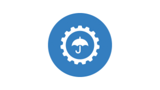 Icona Discovery Insurance